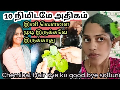 💯மாசகணக்கில் 🌱முடி கருப்பாவே இருக்கணுமா...இது மாதிரி முடியில் ஒரு முறை try pannuga..Instant Hair dye