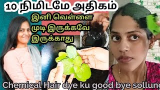 💯மாசகணக்கில் 🌱முடி கருப்பாவே இருக்கணுமா...இது மாதிரி முடியில் ஒரு முறை try pannuga..Instant Hair dye