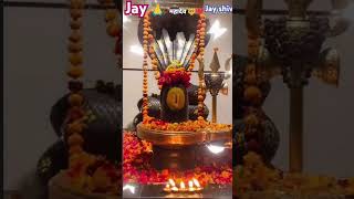 jay shiv jay madhav || #shiva #madhyapradeshnewslive #madhav -+*#£+++""_&++--++:-£_&_;++&###cargame"