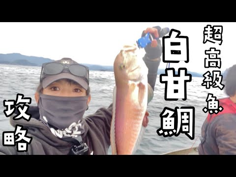 三重県でオススメのシロアマダイの釣り方