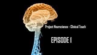 Episode 1 - Reticular System (Sleep/Wake Part)- Project Neuroscience - Clinical Touch