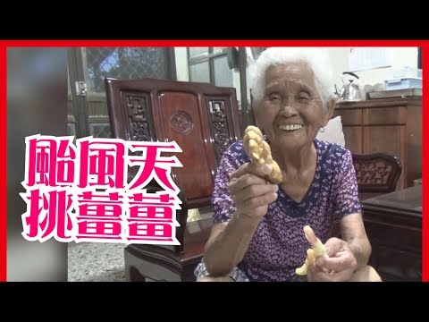 颱風天店休，準備薑食材│快樂嬤食堂#100│台灣美食、小吃、做法、食譜、古早味、素食