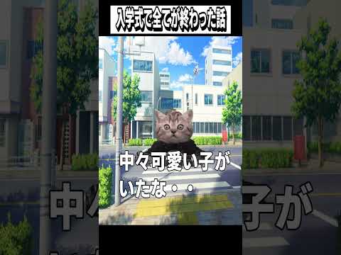 【猫ミーム】入学式で全てが終わった話#shorts