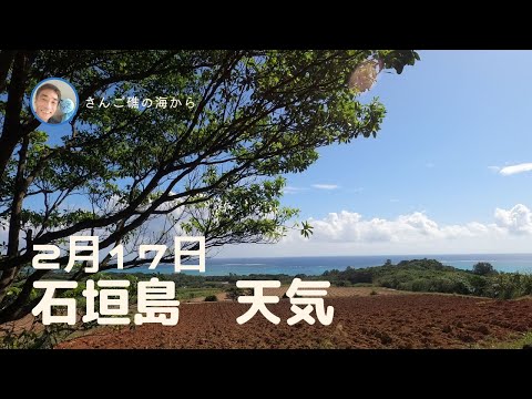 【石垣島天気】2月17日12時ごろ。15秒でわかる今日の石垣島の様子。