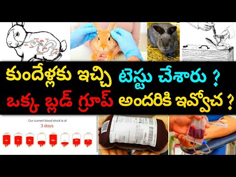 Telugu latest|amazing facts in telugu|facts in telugu|Interesting and Amazing Facts|Telugu secrets