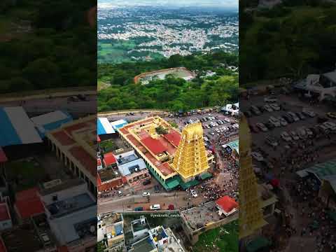 Namma Mysuru♥️ #viralvideo #love #shorts #subscribe