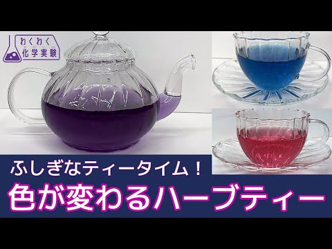 色が変わるハーブティー【わくわく化学実験⑥】