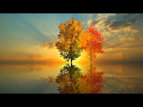 自然河水 钢琴音乐  平静静心  解压放松  工作休息  Ambient  Music  piano music  relaxing music