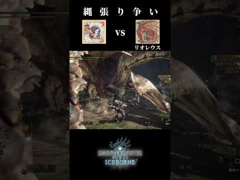 【縄張り争い】Stygian Zinogre(ジンオウガ亜種) vs  Rathalos(リオレウス)【モンハンワールドアイスボーン】＃shorts #mhw  #monsterhunter