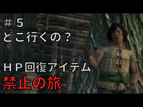 【ドラゴンズドグマダークアリズン】HP回復アイテム縛りの旅＃5【ゆっくり実況】