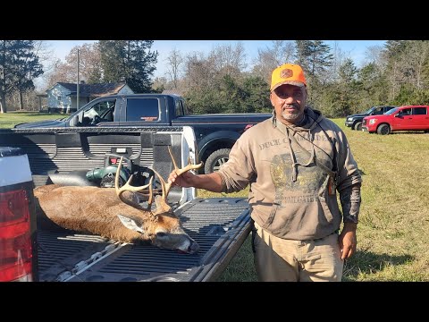 Cumberland County Public Land! Deer Hunting With Dogs!! Big Bucks Down!!