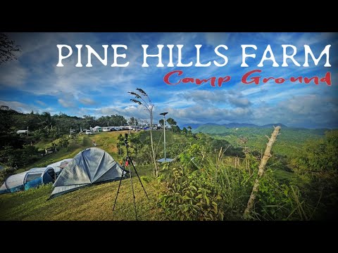 PINE HILLS FARM CAMPING GROUND |  Most accessible family overnight camping