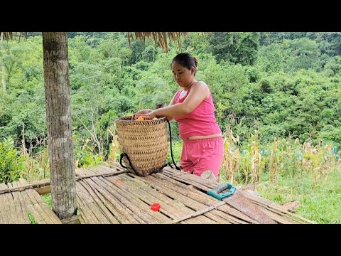 The agricultural machine could not start, the girl was able to restore the machine herself