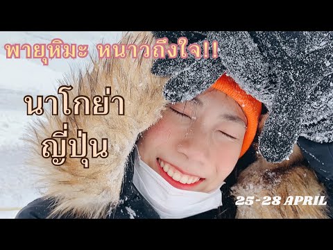 เที่ยวญี่ปุ่นกำแพงหิมะ Japan Alps | ชิราคาวาโกะ | นาโกย่า อุโมงค์ไฟชื่อดัง สวนดอกไม้นานาชาติ ดีสุดๆ!