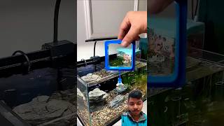 Amazing Filters Aquarium DEAL!#trending #aqurium #fishaquarium #fish #fishtanksetup #shortvideo #fyp