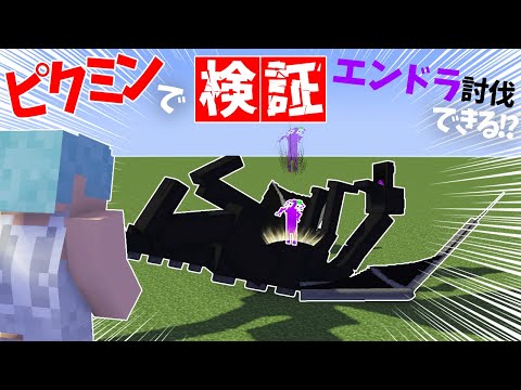 最強ピクミンをエンダードラゴンに投げれば簡単に倒せる説！❸【マイクラ/ピクミンサバイバル】