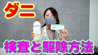 【ダニ対策】ダニがいる？？と思ったら！！殺虫剤を使う前にかんたんに出来るダニ検査キット。ダニアレルゲン測定 マイティチェッカー ダニ ヒョウダニ ツメダニ退治 ダニ簡易検査キット