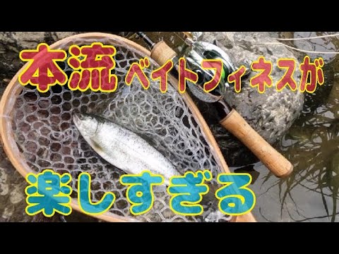 本流アメゴ(アマゴ)  本流ベイトフィネスにハマりそう！