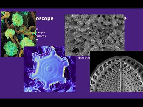 Intro to Scanning Electron Microscopy (SEM)