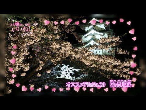 【弘前城】桜も緑も私のオススメ／ご当地女子FileNo.29