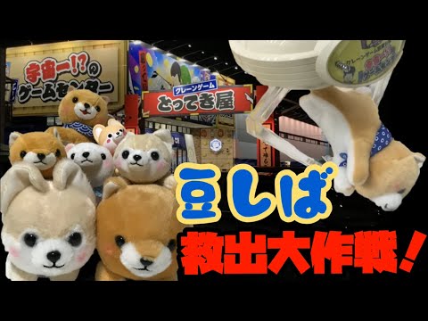 エブリデイとってき屋！豆しば救出大作戦編！クレーンゲーム動画