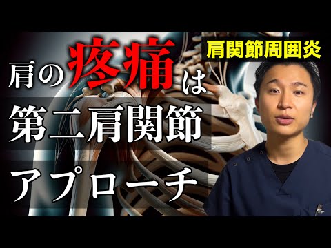 【第二肩関節】肩関節の疼痛は介入必須