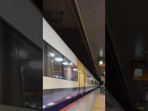 255系ミュージックフォン奏でて東京駅入線