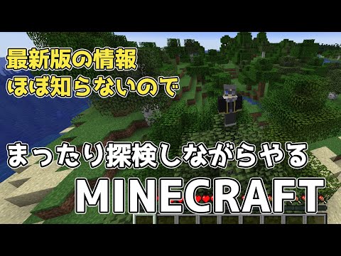 久しぶりすぎてほぼ何もわからないマインクラフト