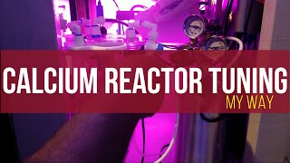 Tuning a Calcium Reactor