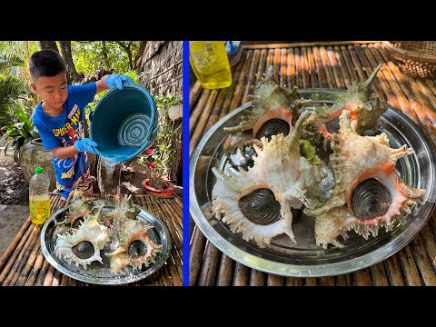 Yummy Ocean snail cooking with country style - Chef Seyhak