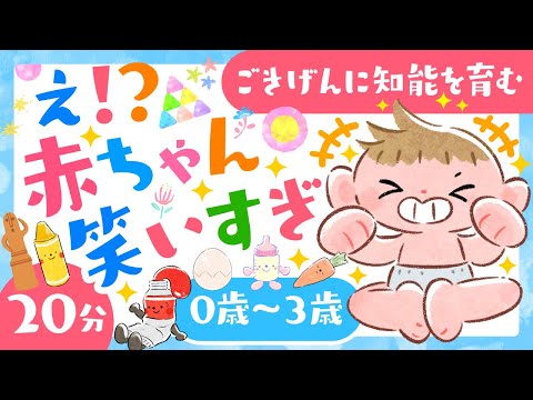 【赤ちゃんが喜ぶ音楽】え❣️❓赤ちゃん笑いすぎ│赤ちゃん泣き止む　笑う　喜ぶ　動画│こどものうた│乳児・幼児向け│0歳/1歳/2歳/3歳【知育アニメ】