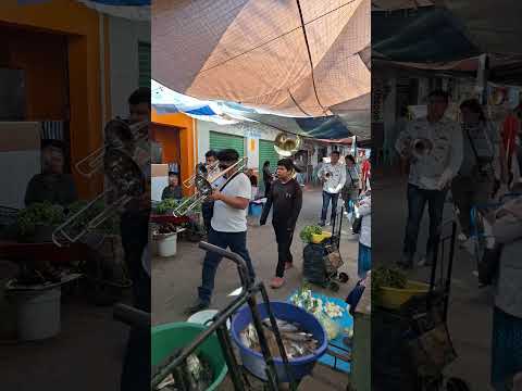 Diciembre 12, 2024 en Axochiapan, Morelos con Banda en honor a nuestra madrecita Virgen de Guadalupe