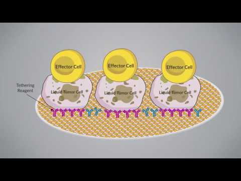 ACEA Transformative Video 04: xCELLigence - A Transformative Technology in Cancer Research