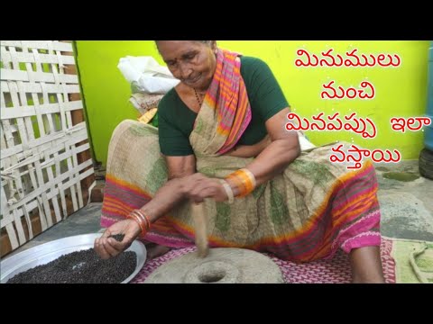 Process to get urad dal from black gram | Minumulu nunchi minapappu ila vastayi.