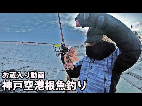 【神戸空港】冬の根魚エビ撒き釣り【お蔵入り動画】