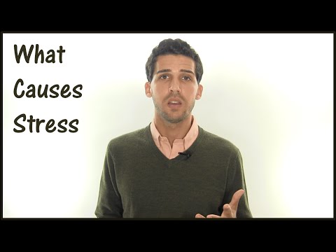 What Causes Stress - This Might Surprise You