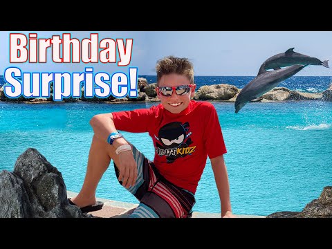 Ashton's Birthday SURPRISE he will never Forget!