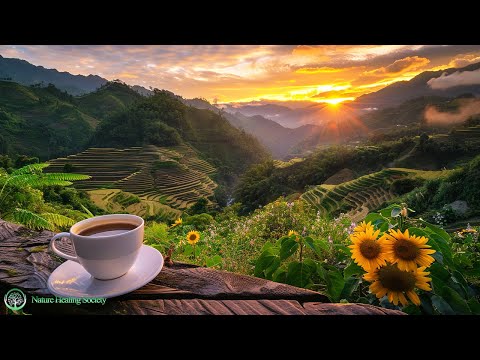 CALM GOOD Morning Music 🥰 Wake Up Happy - Ancient Healing Frequency 528Hz