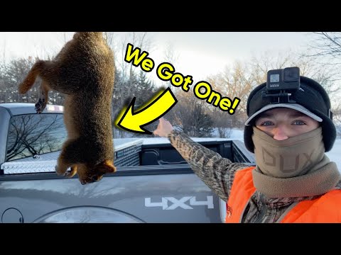 Squirrel Catch Clean Cook!! | Doing Some Amazing Hunting! |