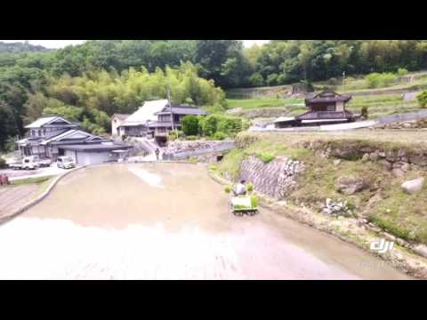 奥塩田 田植え