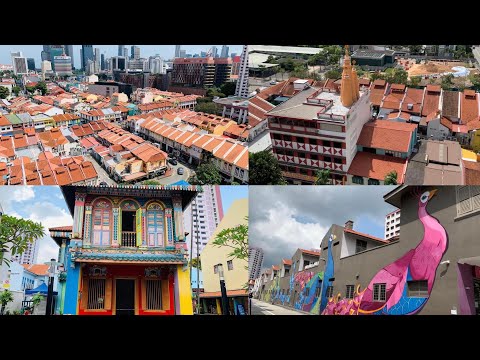 小印度之信仰之旅(4-1）Walk of Faiths - Little India Heritage trail 2023(part 1）陈东龄故居、南北印度庙与拱廊、竹脚中心、孔雀与传统行业壁画