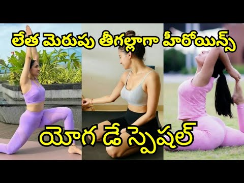 TOLLYBOOD BOLLYWOOD HERIONE YOGA ASANAS ON YOGA DAY #viral #bollywood