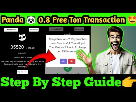 How to Complete Free TON Transactions for Panda Airdrop | Last Date: 25 December | Earn With Abhi