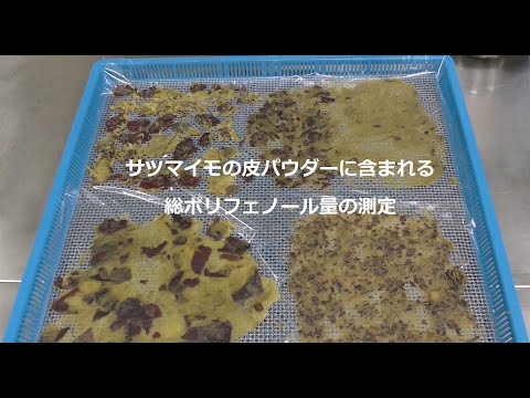 サツマイモの皮パウダーに含まれる総ポリフェノール量の測定【青森産技下北研】SB08