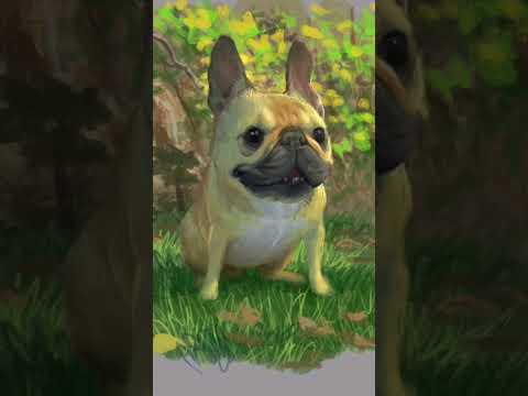 Painting my French Bulldog in Procreate