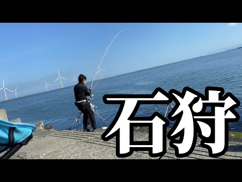 【北海道】【釣り】石狩湾新港騒然‼️とんでもない魚影‼️わやわや水中映像！！