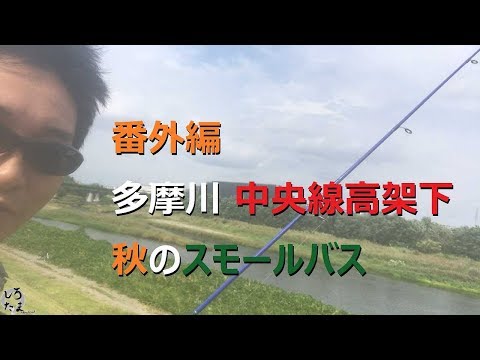 (多摩川+中央線高架下) × 小学生 = スモールバス