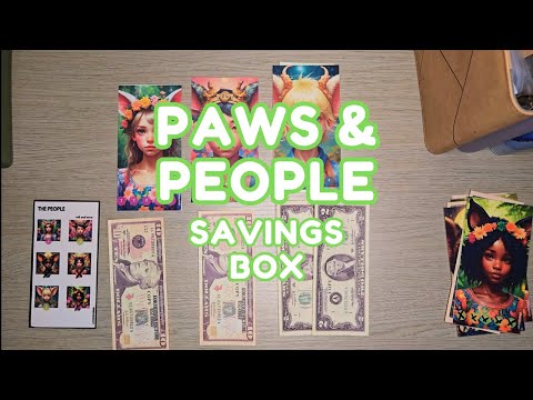 Paws & People Savings Challenge Box 🐾 FINALE $???  @Niensbudget #savingschallenges #games #savings