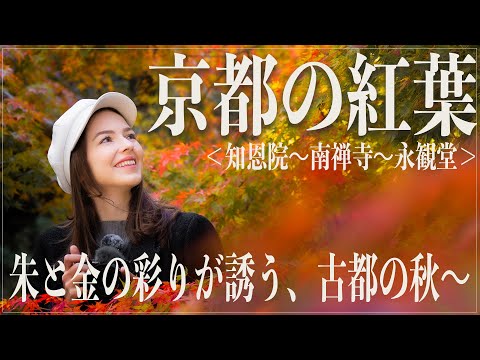 【京都】一生に一度は見たい！紅葉に包まれた古都、歴史が息づく秋の散策へー＜知恩院〜南禅寺〜永観堂篇＞