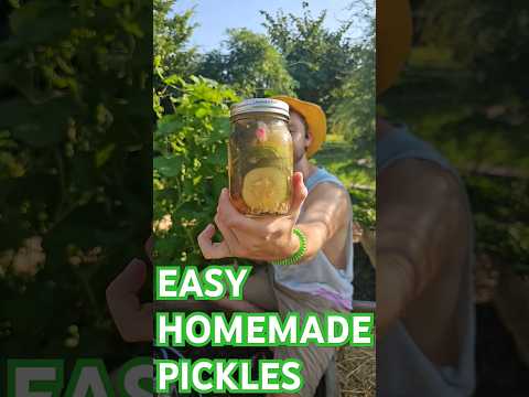 The BEST Pickles You'll EVER Eat